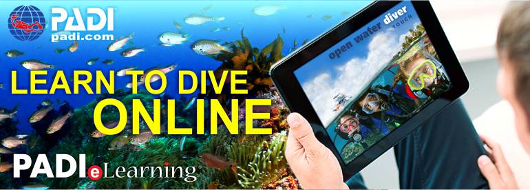 PADI ONLINE